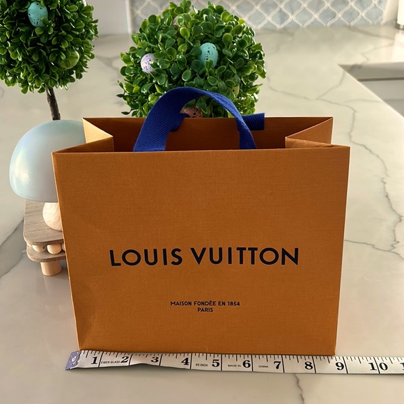 Louis Vuitton small bag - Picture 1 of 5